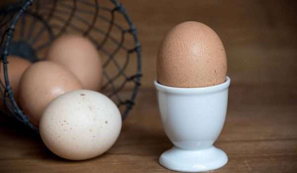 فوائد البيض للحامل والمخاطر المحتملة لتناول البيض أثناء الحمل