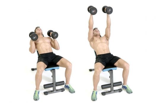 ضغط الدمبلز على البنش المائل مع موازاة الدمبلز للجسم (Incline Bench Press Neutral Grip)
